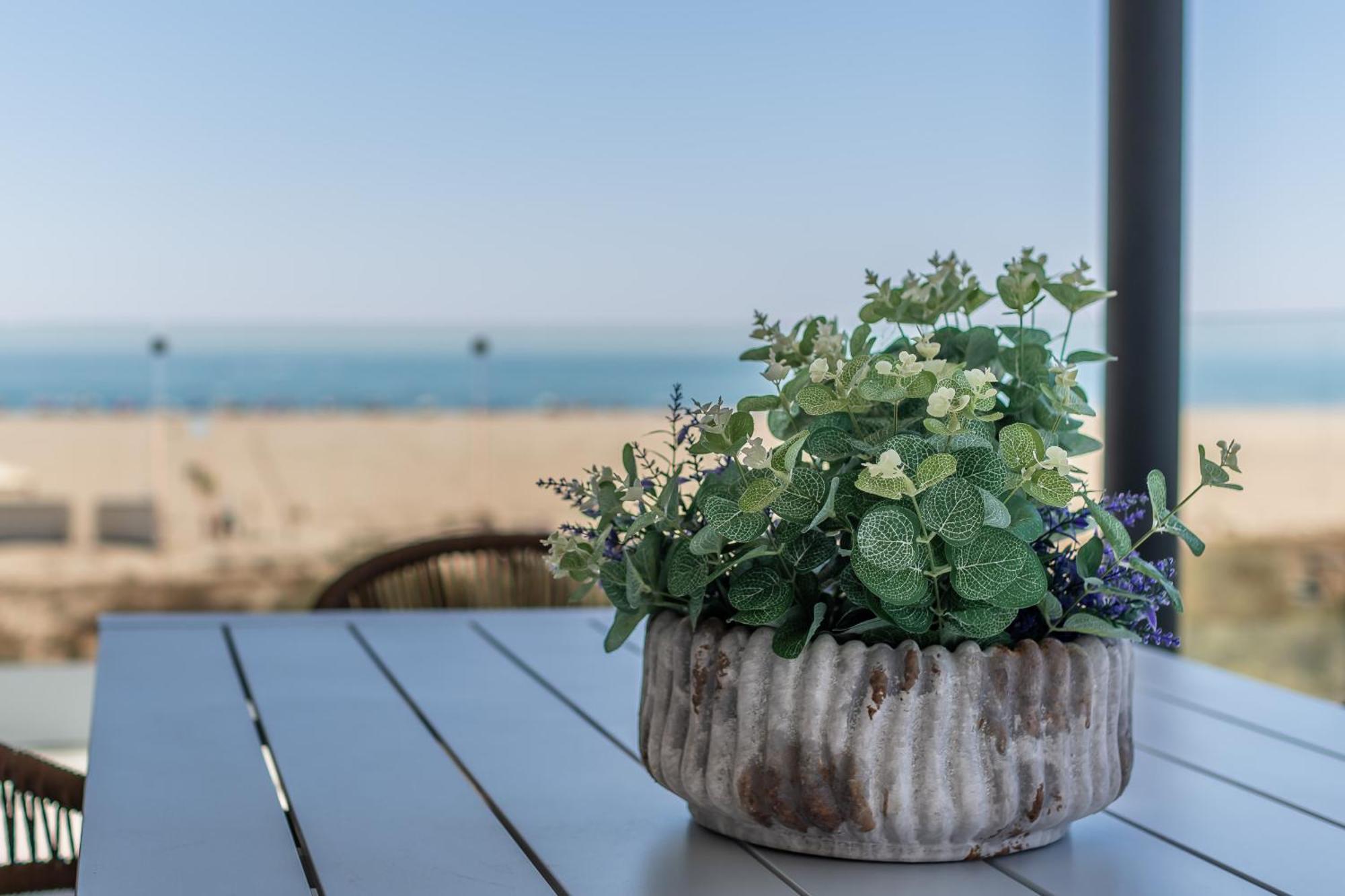 Camaleones By H - Playa De Haraganes Hlhc1203p17 Isla Canela